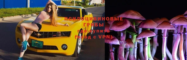 СК Приозерск