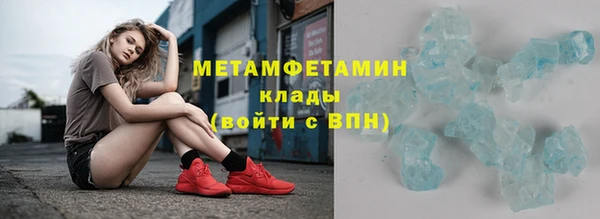 прущие грибы Пролетарск