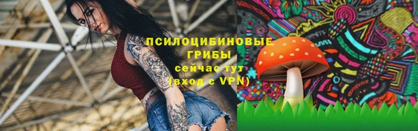 прущие грибы Пролетарск