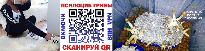 Псилоцибиновые грибы Magic Shrooms Алзамай