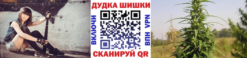 купить закладку  Алзамай  Шишки марихуана семена 